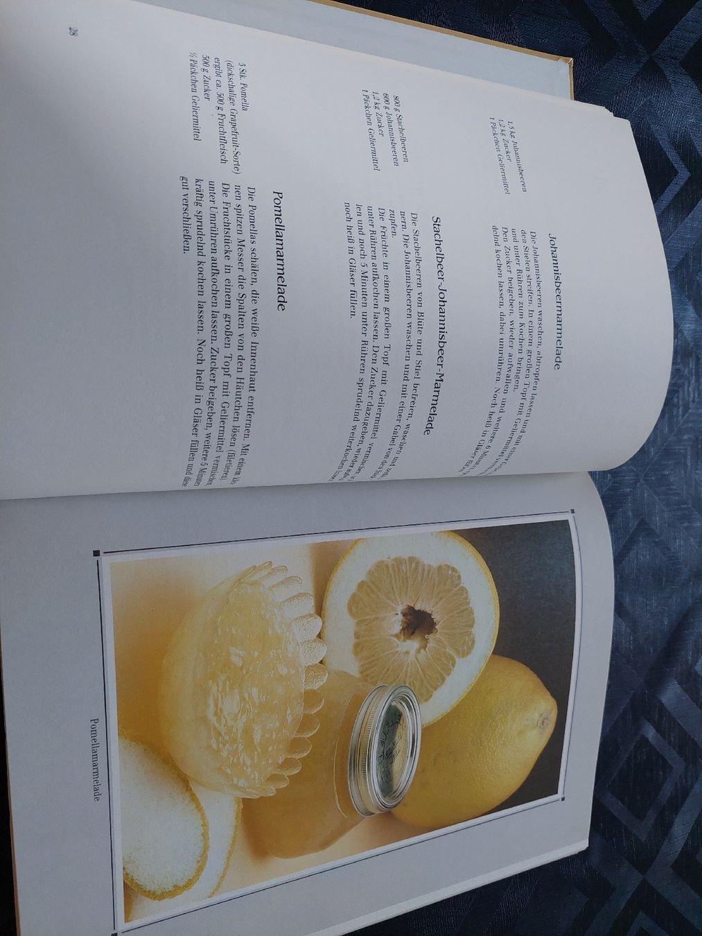 Libri: Delikatessen  im Glas,  Einmachbuch  – Usato da Zetzwil venduto da lanst08 2