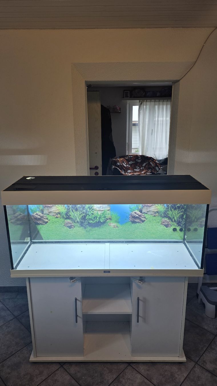 Juwel Aquarium: Juwel Aquarium 240L – D'occasion à Oberhofen TG par Pea_fj7 3