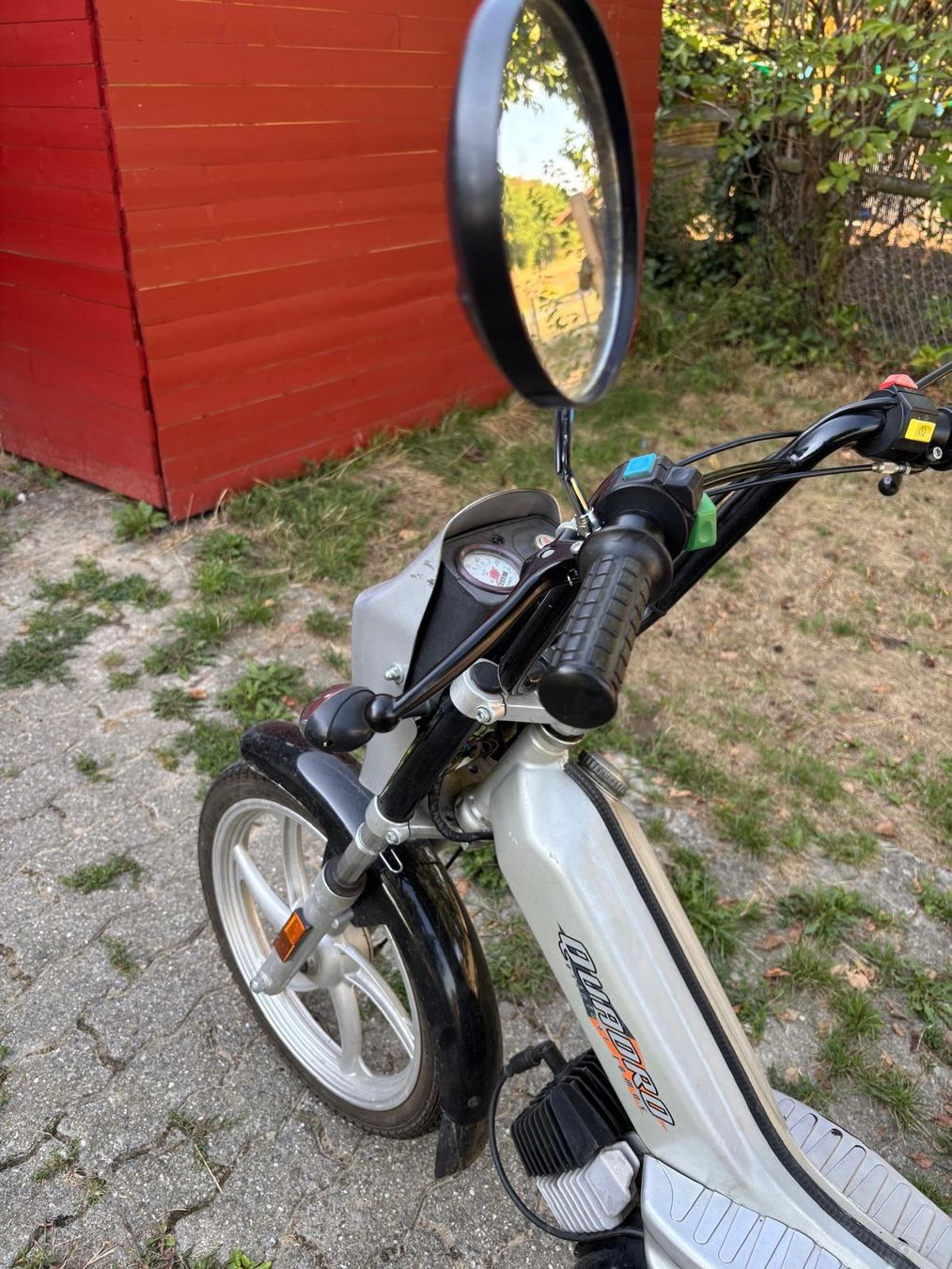 Tomos Cyclomoteurs: töfli tomos quadro  – D'occasion à Lyss par oli018 2