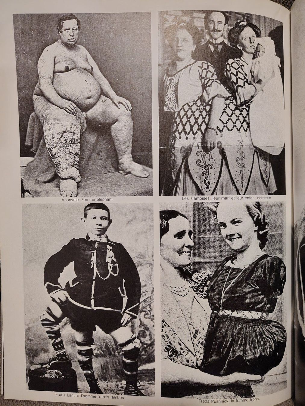 Riviste & Magazine: PHOTO N°136 Janvier 1979 – Usato da Meyrin venduto da Flurrio 8
