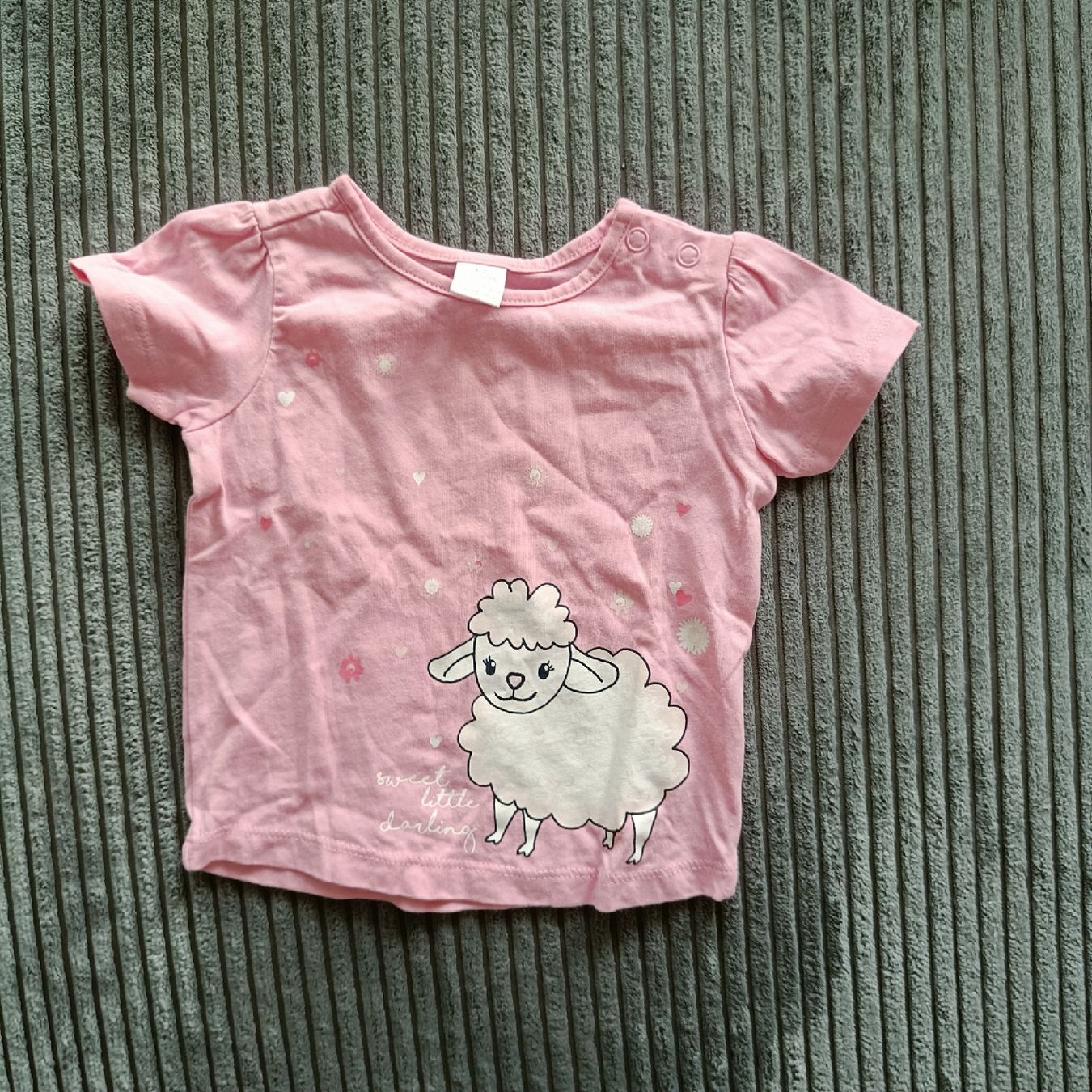 Camicie, Top & T-shirt: T-Shirt Grösse 62 – Usato da Jaberg venduto da urig17.