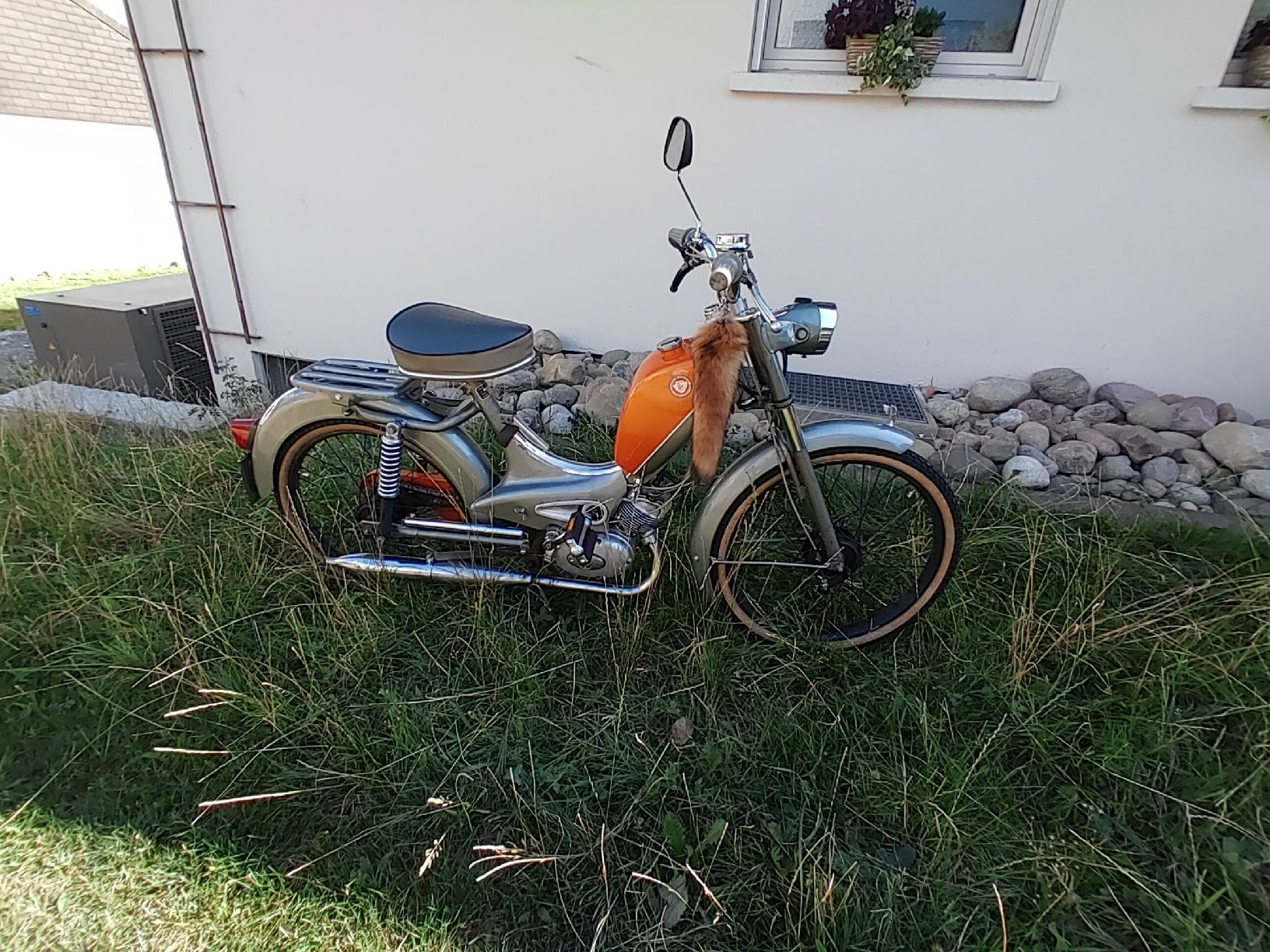 Sachs Cyclomoteurs: Sachs Rixe RS 50 MFLM – Défectueux à Eschenbach SG par familie.klaus