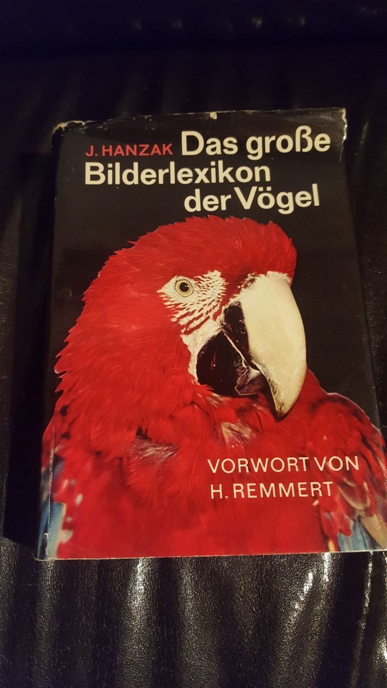 Libri: Buch Das grosse Bilderlexikon der Vögel – Usato da Remetschwil venduto da Privatflohmi