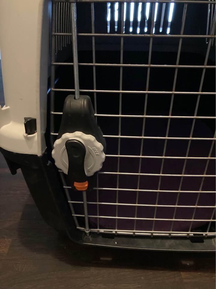 Gabbie, trasporto & Sicurezza: Branco Hundetransportbox Nr. 4 – Usato da Basel venduto da ste_d8hq