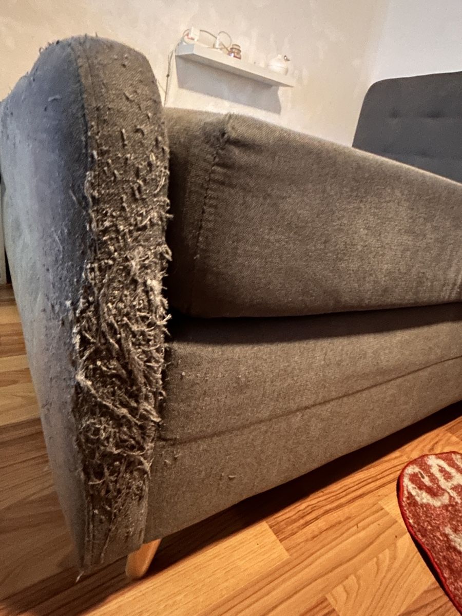 Betten: Boxspringbett 160 × 200 cm - Grau – Gebraucht aus Rorschach von Xenia_6qjs 1