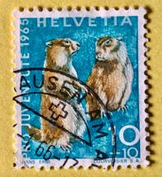 Nr.J 211 GESTEMPELT Alpenmurmeltier 1965   