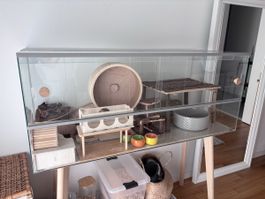 Glas-Terrarium / Hamsterkäfig mit Zubehör