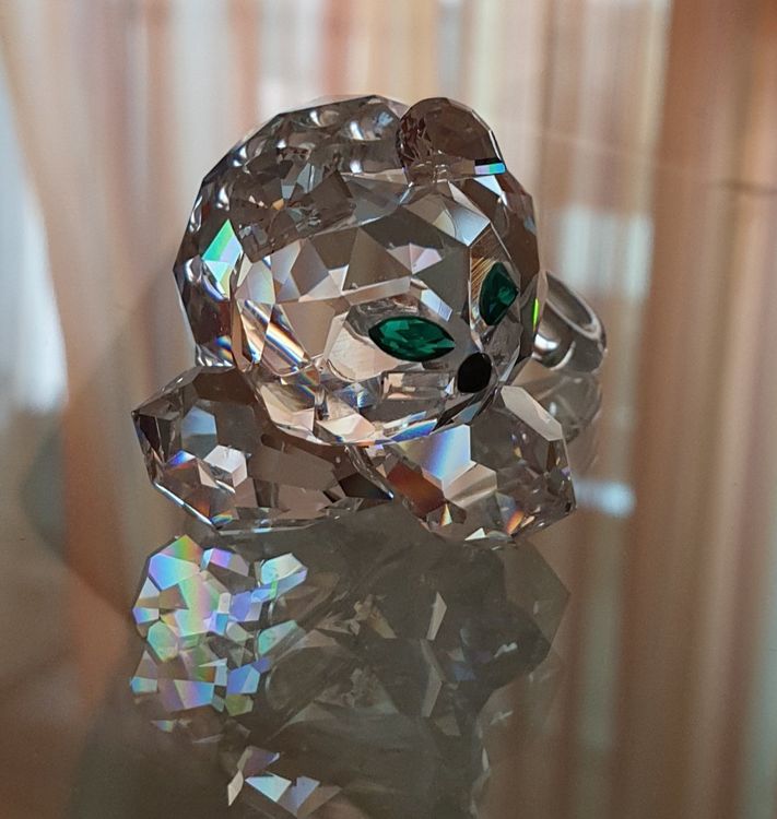 Personalisiertes 3D Gedenkglas Mit Foto-Gravur Für Haustiere - Einzigartiges Erinnerungsstück