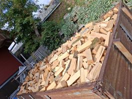Buche Brennholz 25cm