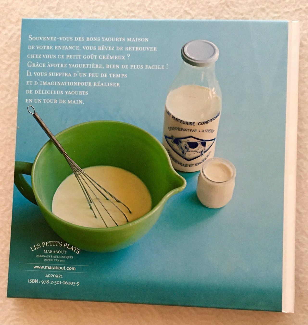 Libri: Livre de recettes pour yaourts – Usato da Carouge GE venduto da pierre956 1
