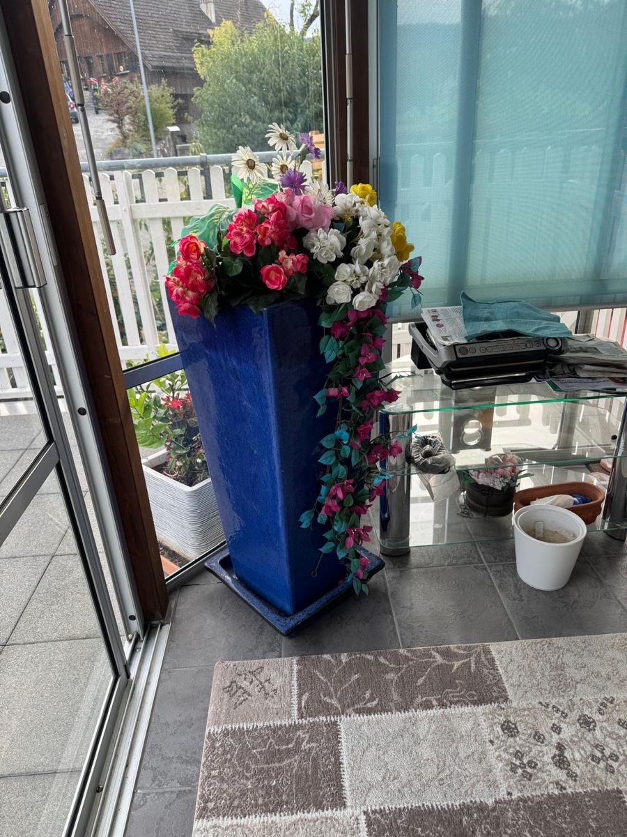 Vasi per fiori: Blumentopf – Usato da Menziken venduto da rosee_
