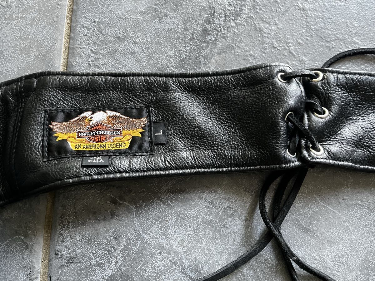 Harley-Davidson Hosen: Harley Davidson Leder Chaps Grösse L gebraucht – Gebraucht aus Seengen von Pani09 1