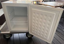 1 KibernetikTK 60L Mini Tiefkühlschranke