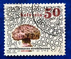 Nr.1506 Gemeiner Strubbelkopfröhrling Dauermarken GESTEMPELT