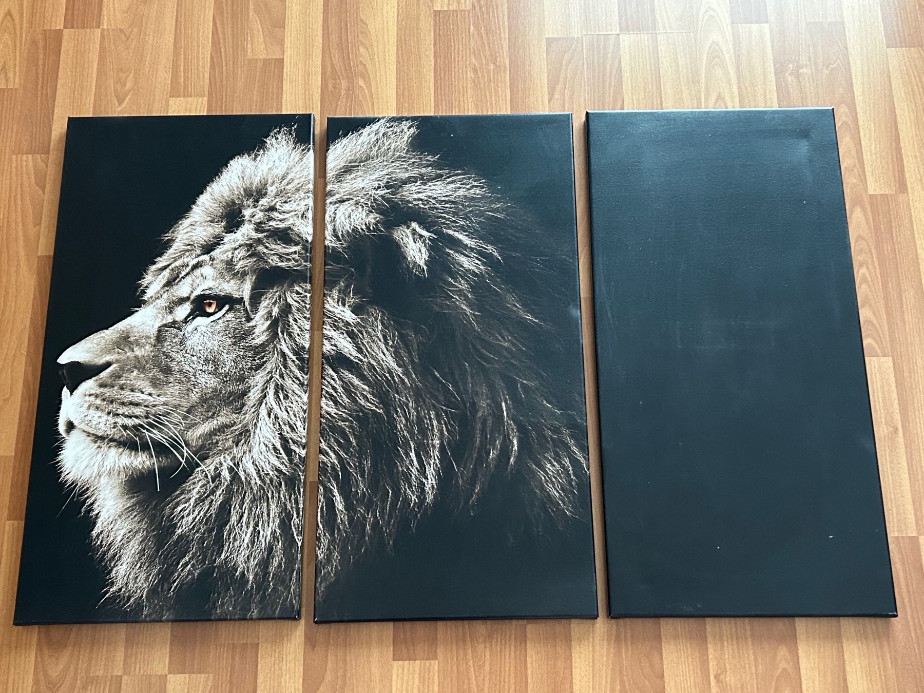 Posters & Illustrations: Löwen Bild – D'occasion à Schmitten FR par Jako-o