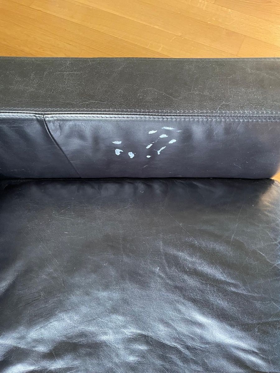 Divani: Designer 2.5-Sitzer Ledersofa Schwarz mit Chromfüssen – Usato da Zürich venduto da jac_7g6c 1