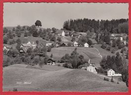 HIRZEL, GROSSFORMAT
