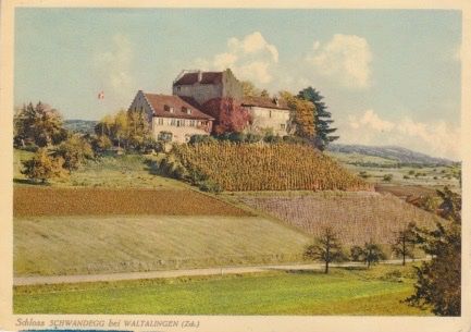 Ansichtskarten: Schloss " Schwandegg " bei WALTALINGEN. (Zch.) – Gebraucht aus Schlieren von Rapaelli