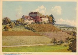 Schloss " Schwandegg " bei WALTALINGEN. (Zch.)