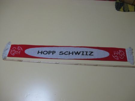 Fussball Nati Suisse / Schweiz / HOPP SCHWIIZ / ALLEZ SUISSE