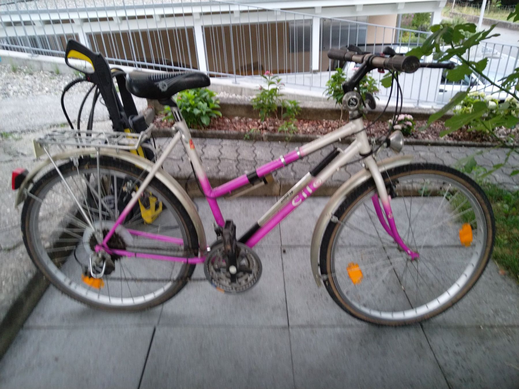 Cilo Vélos: Damenvelo Cilo – D'occasion à Veltheim AG par Cargoboy 2