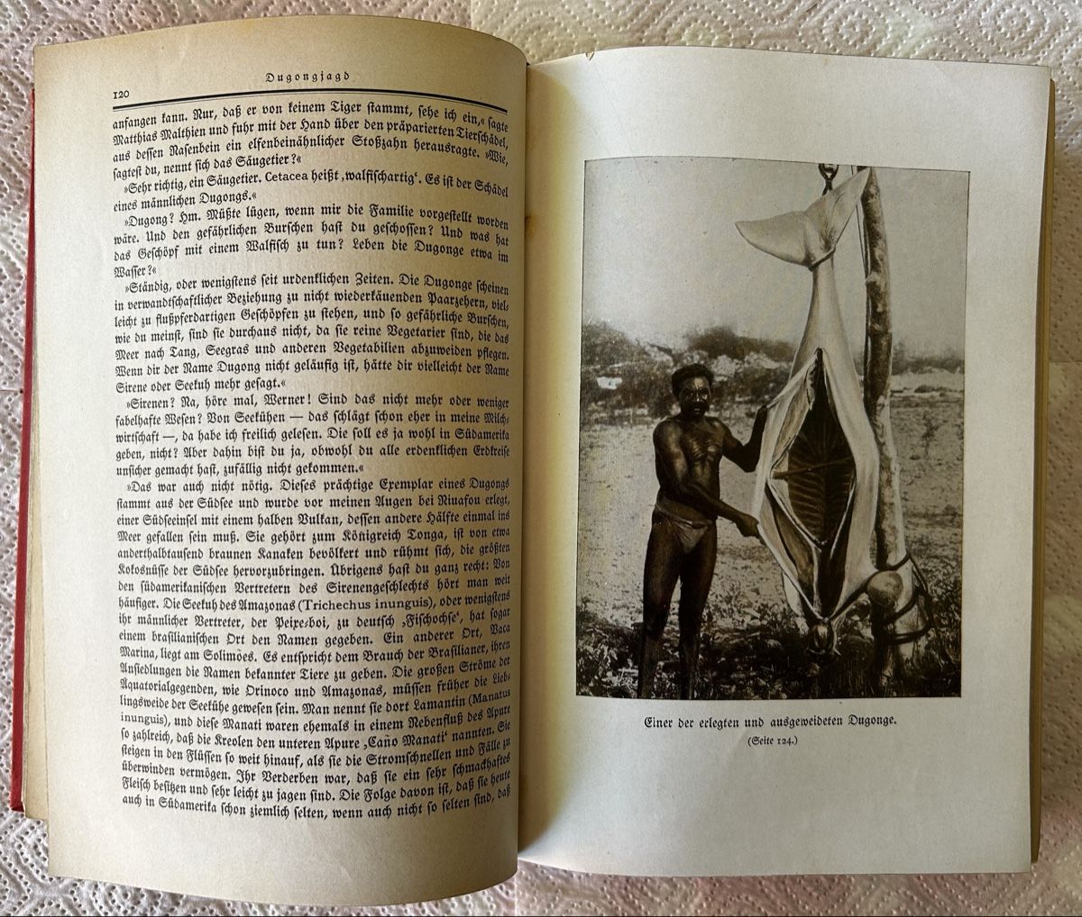 Libri: Das neue Universum Band 48, 1927 – Usato da Lengnau BE venduto da AgriOttu 3