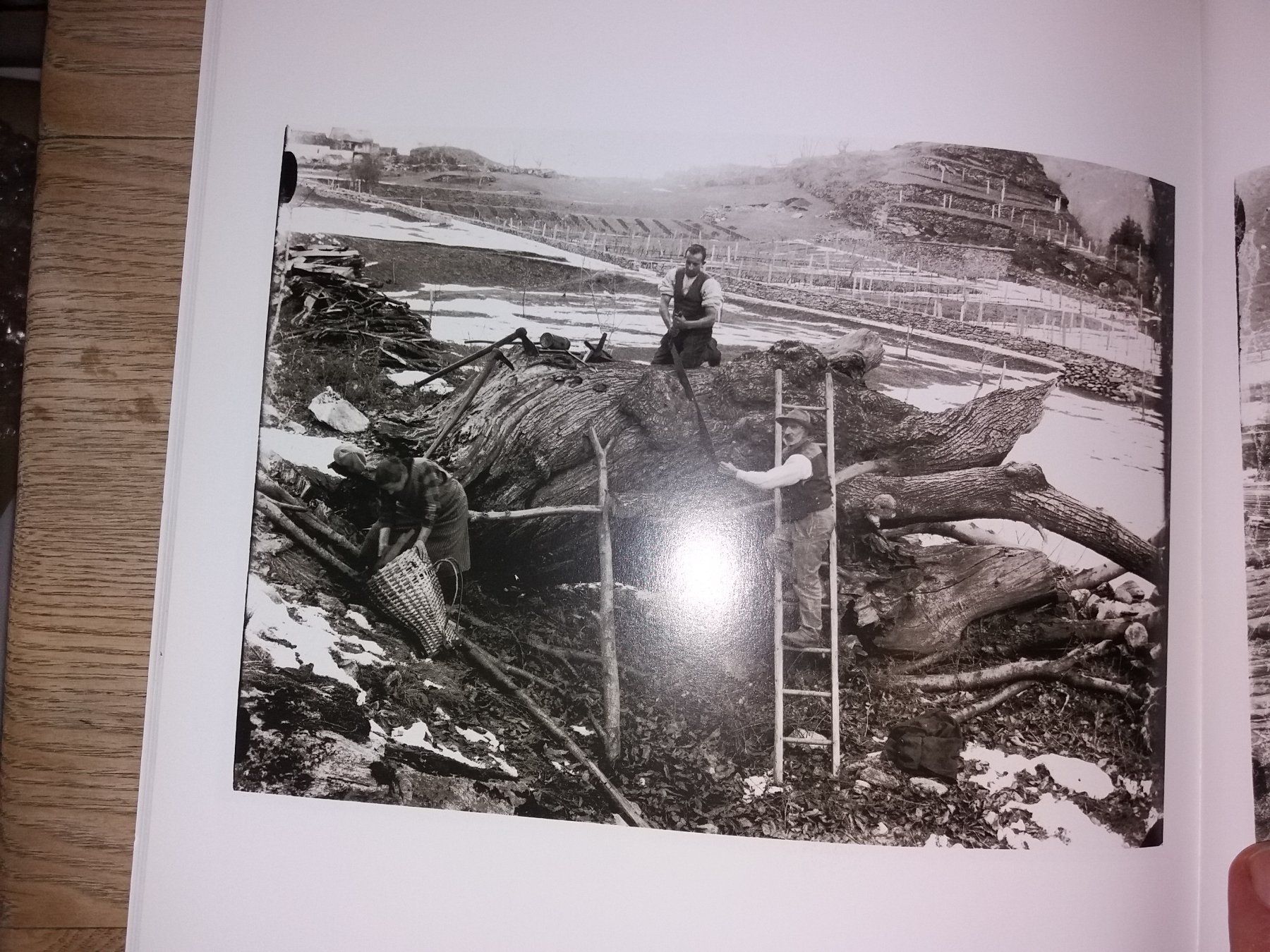 Libri: FOTOKLASSIKER Roberto Donetta rar graubünden – Usato da Welschenrohr venduto da Regool 5