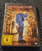 Nachts im Museum (21190)