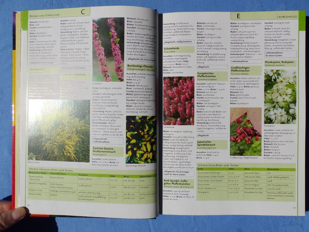 Mein schöner Garten Die Enzyklopädie der Gartenpflanzen Kaufen auf