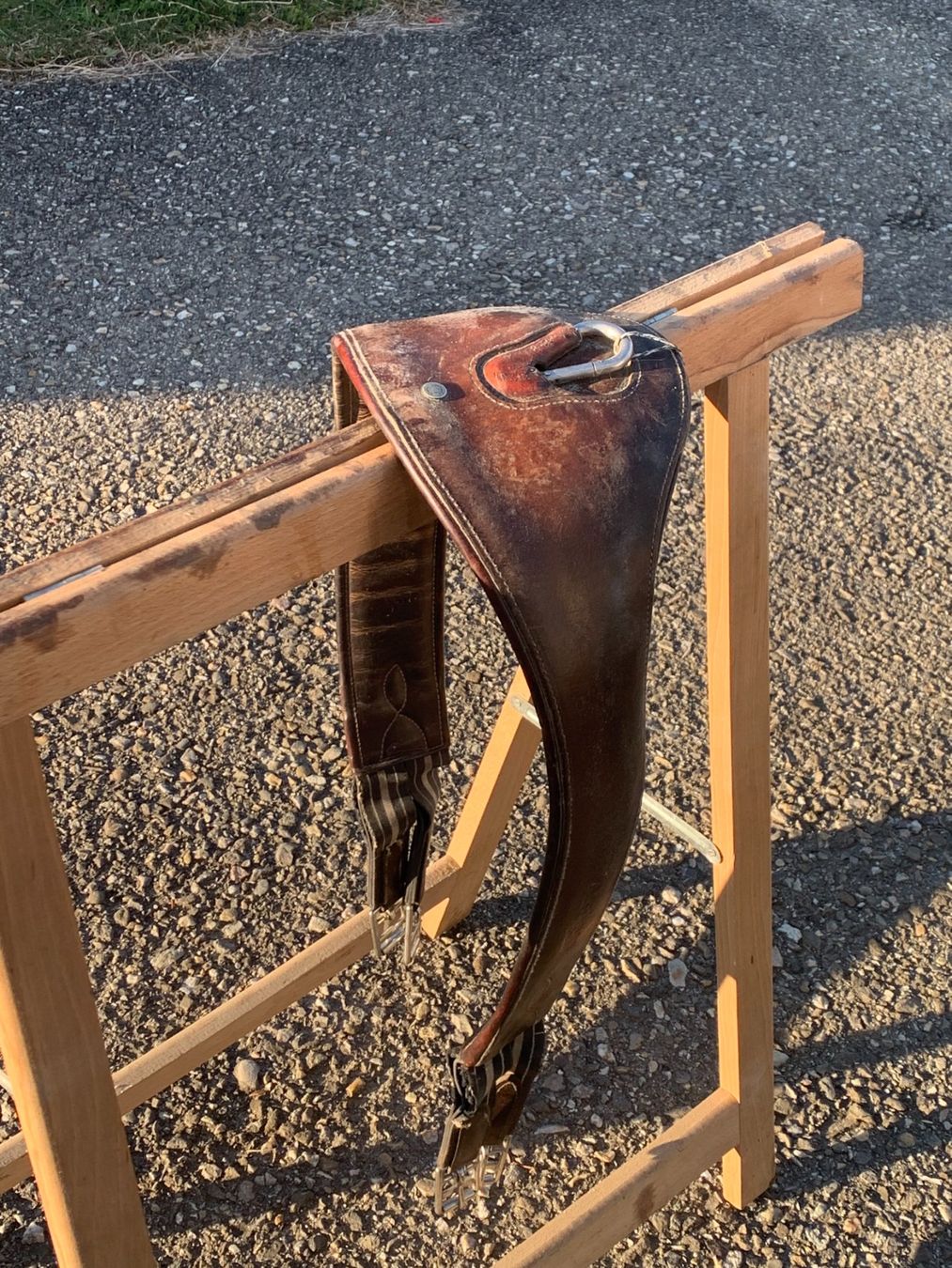 Selle & Accessori: Sangle Antarès – Usato da Lamboing venduto da pet_djp8 4