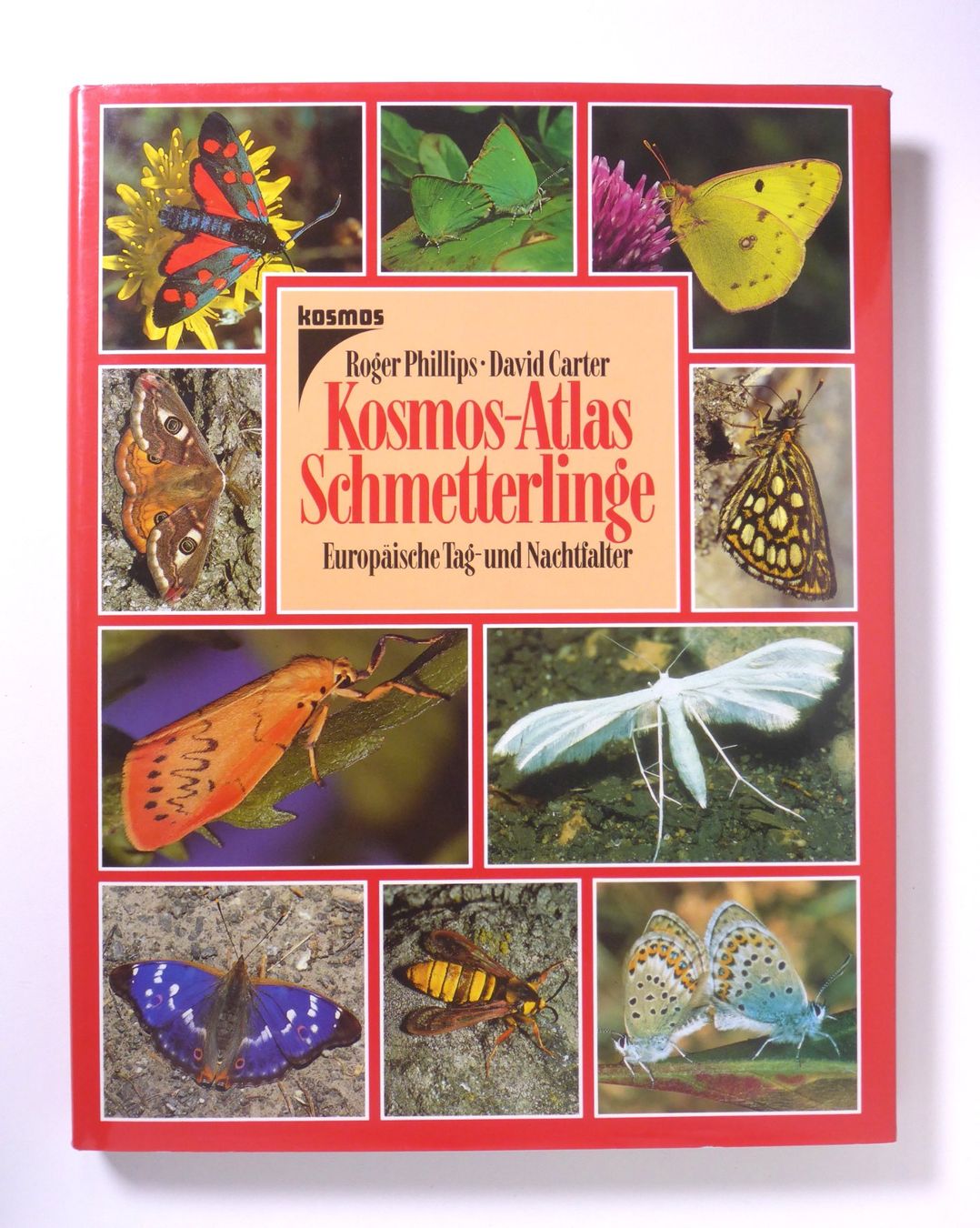 Libri: Kosmos-Atlas: Schmetterlinge. – Usato da Erschwil venduto da taglang