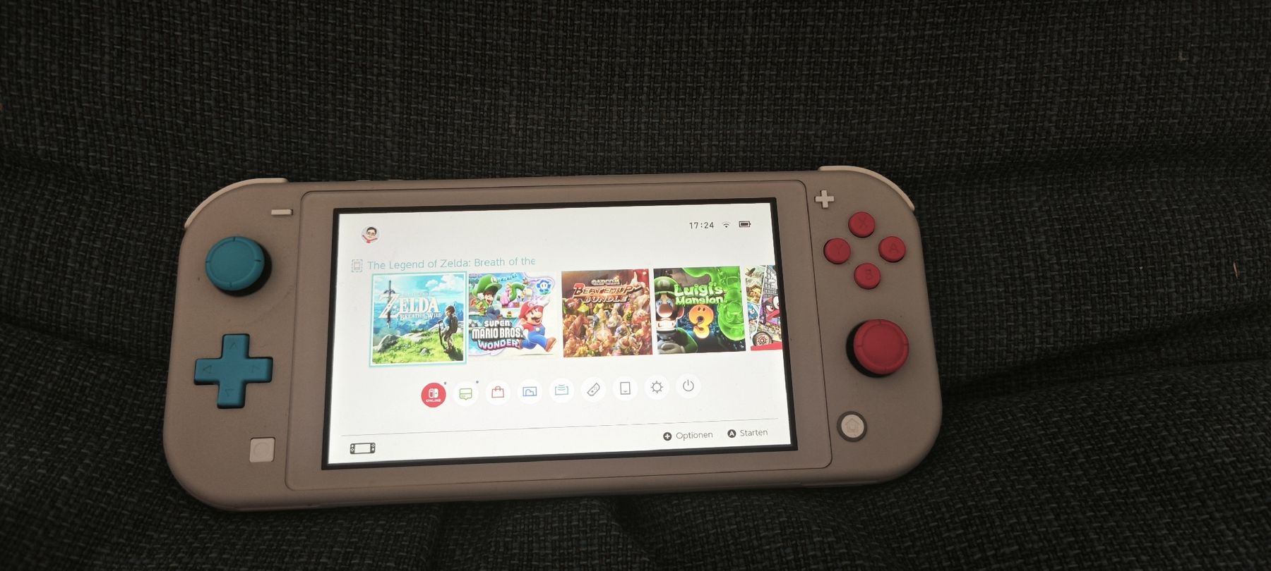 Nintendo Console: Nintendo Switch Lite_Grey  – Usato da Dübendorf venduto da Jianbo_CN_CH_IT 2