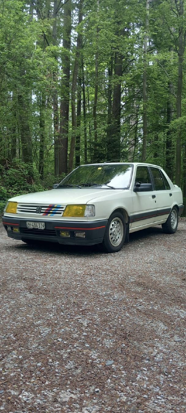Peugeot Automobili: Peugeot 309 Gti – Usato da Zürich venduto da ejnei1