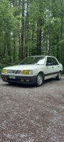 Peugeot 309 Gti