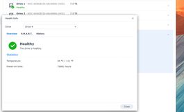 Synology NAS DS918+ mit 32TB (4x8 TB)