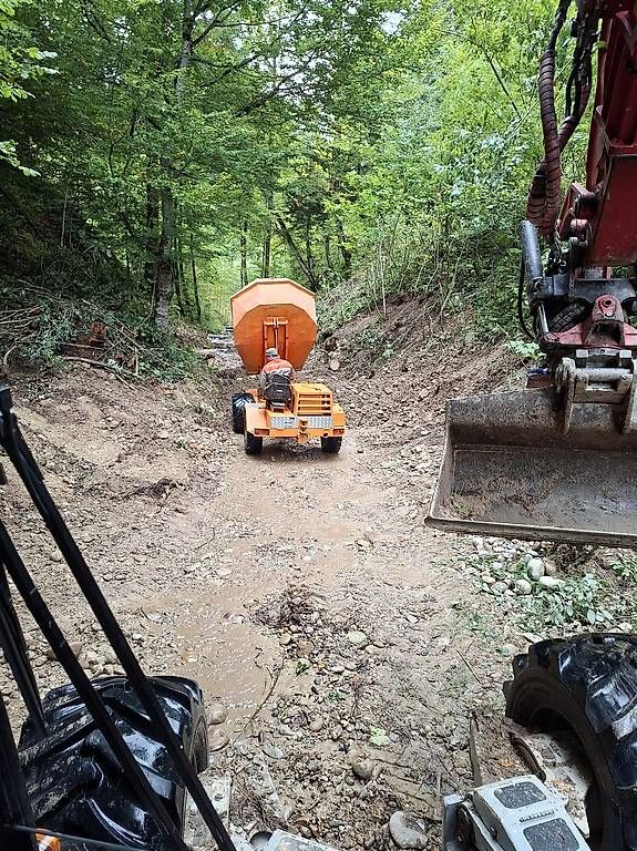 Autoribaltabili: Dumper Kipper – Usato da Trubschachen venduto da trac01 1