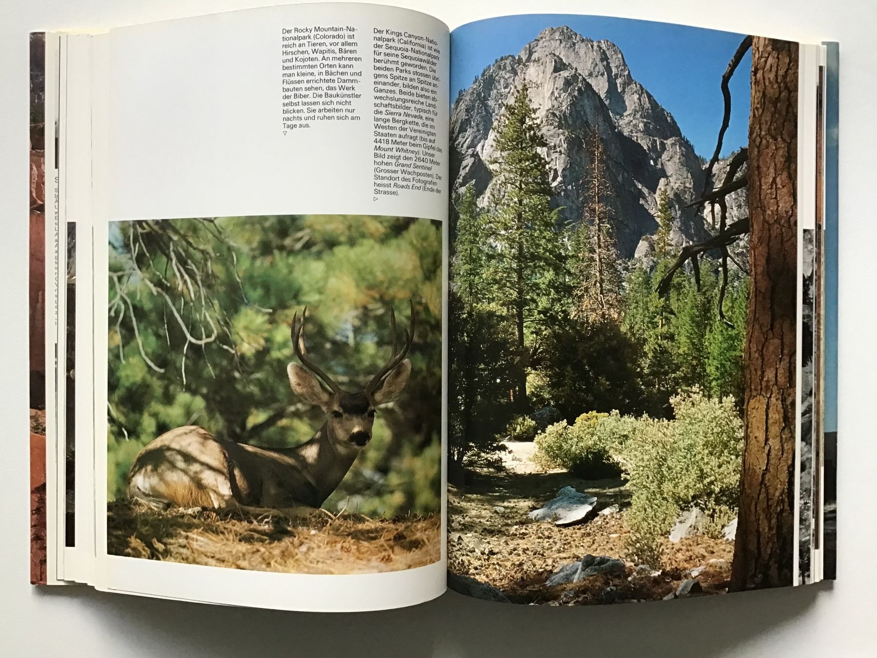 Libri: Nationalparks der USA 70ziger – Usato da Horw venduto da adler65 4