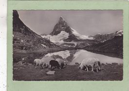 Zermatt Riffelsee Matterhorn 1946
