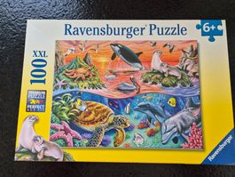 Puzzle Meerestiere