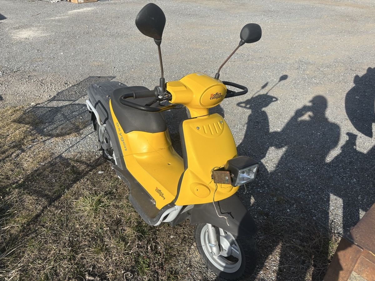 Oxygen Scooter: Elektroroller Oxygen OX5 – Difettoso da Gampel venduto da olivermartig 1