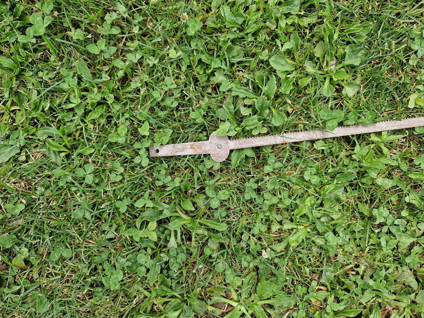 Sägen: Säge Blatt zu Hand Säge – Gebraucht aus Niederbipp von Trude04