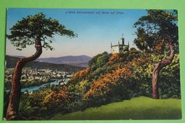 AK Sälischlössli mit Blick auf Olten