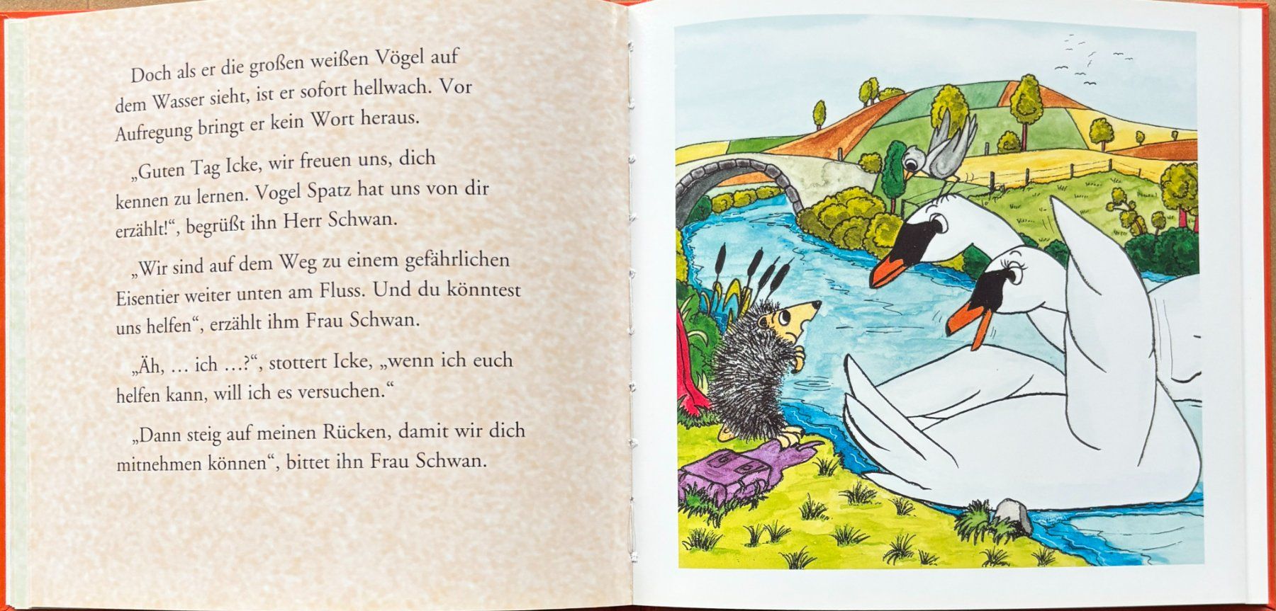 Bücher: Icke Igel – Gebraucht aus Sarnen von Livres 2