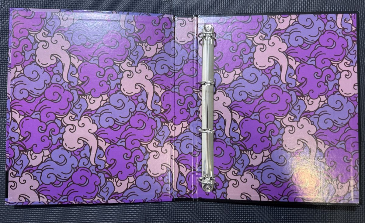 Pokémon Ordner: Pokémon Sammel-Ordner – Gebraucht aus Giffers von cam_mb92 2
