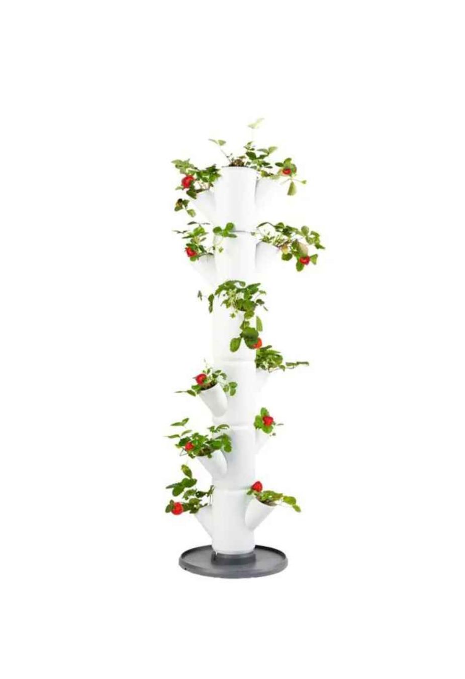 Coffres de rangement: Mikro Garten  – Neuf (Voir description) à Ebikon par val_w5jm