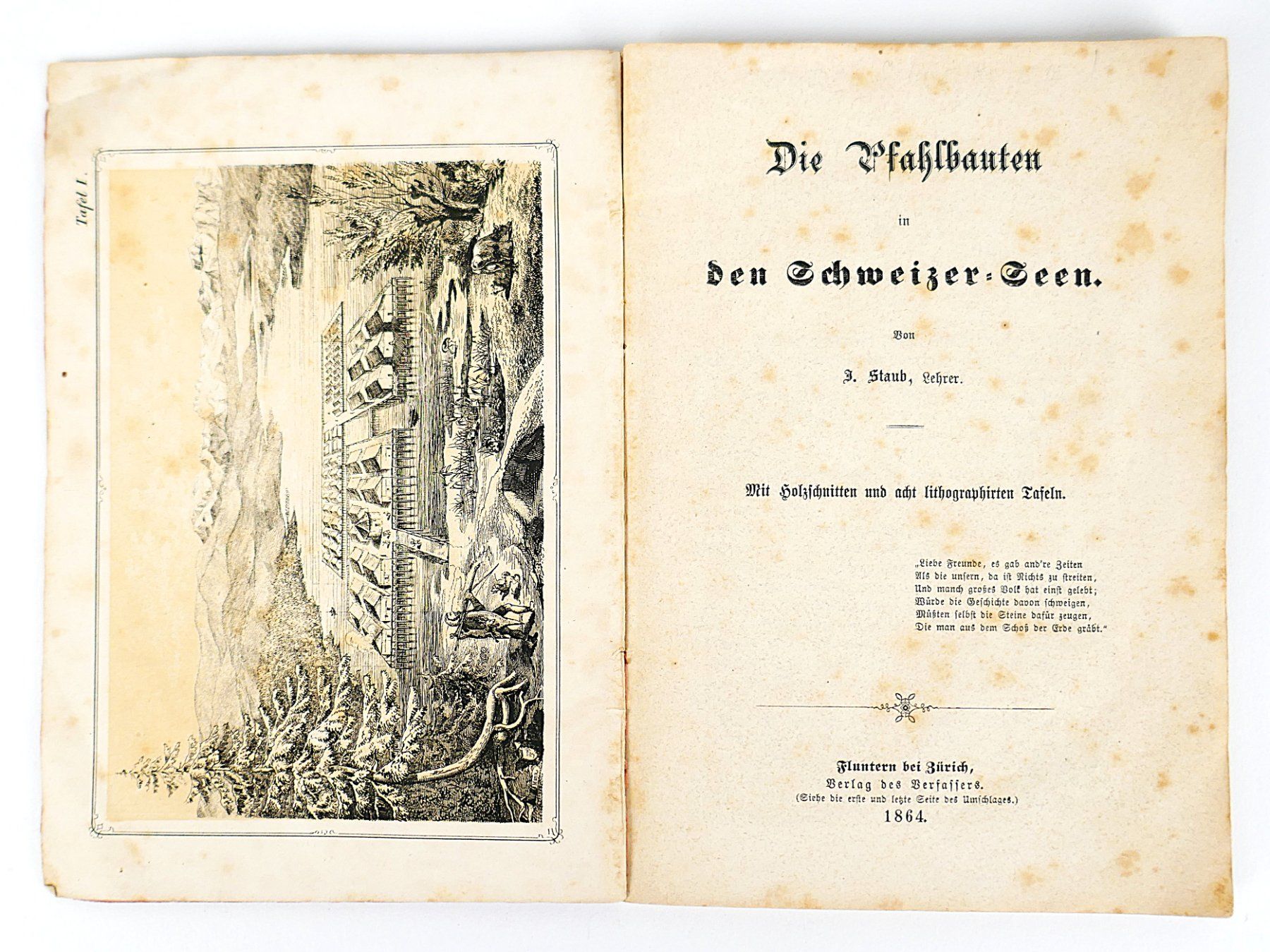 Libri: Buch "Die Pfahlbauten" – Usato da Urtenen-Schönbühl venduto da Restwert_Schoenbuehl 2