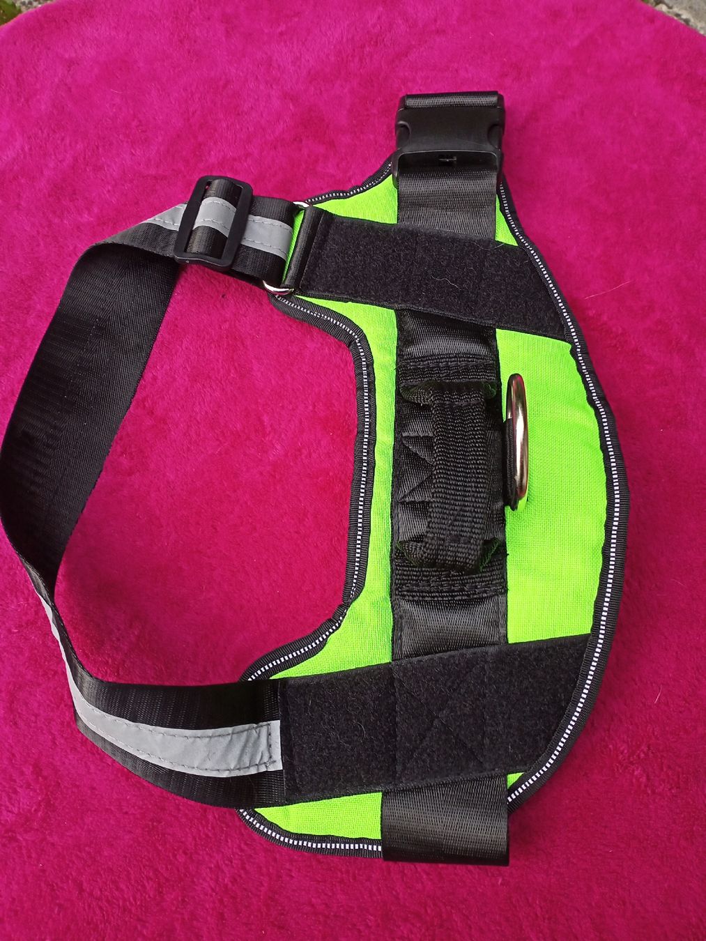Leine & Halsband: Geschirr für ca. Border, Aussie, Labrador  – Neu (gemäss Beschreibung) aus Oftringen von Myti 2