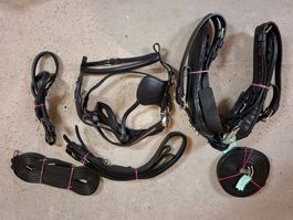 Brustblattgeschirr Warmblut