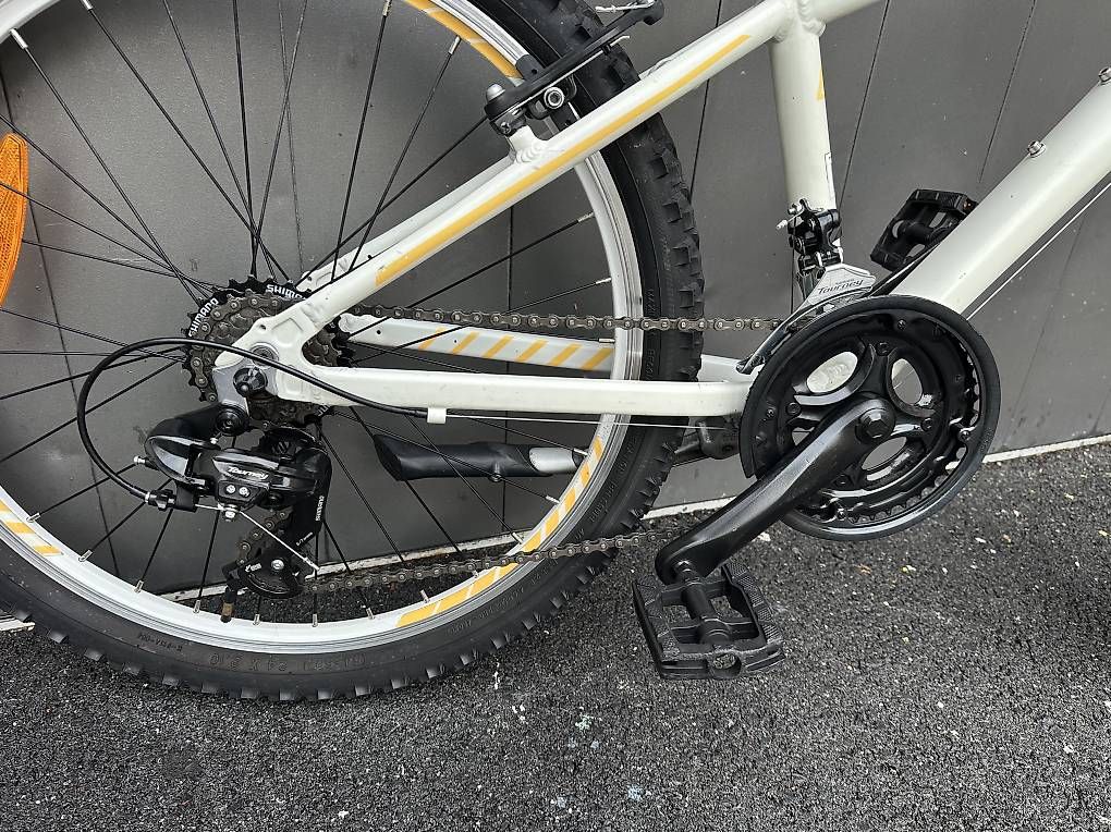 Biciclette: Bicicletta MTB California da ragazza 24  – Usato da Quartino venduto da DiloUsato 4