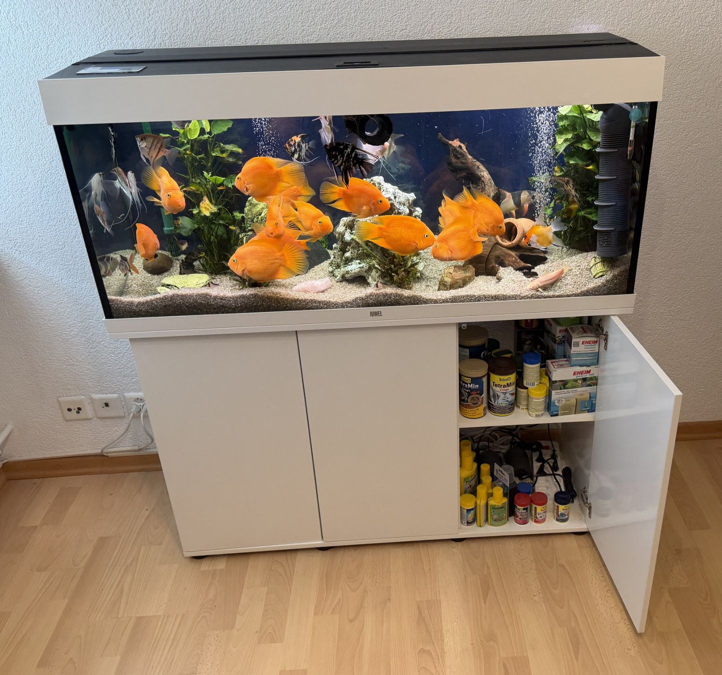 Juwel Aquarium: Juwel Rio 240 LED Kombination, weiß ... – Gebraucht aus Chur von Papageibarsch77 2